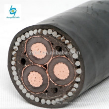 Cable de transmisión 6 / 10KV 11kv 18 / 30KV 3x70mm Cu / Al / XLPE / Cts / Cws / PVC / PE / LLDPE 50mm 70mm Mv